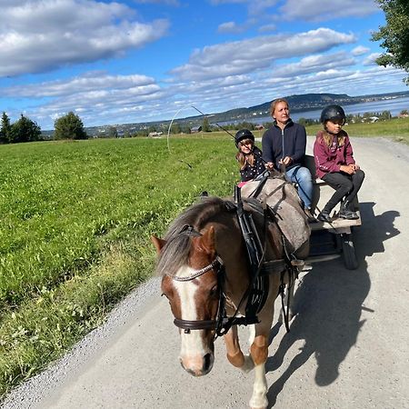 Scenic Small Guesthouse On Horse Farm By The Lake Frösö Exteriör bild