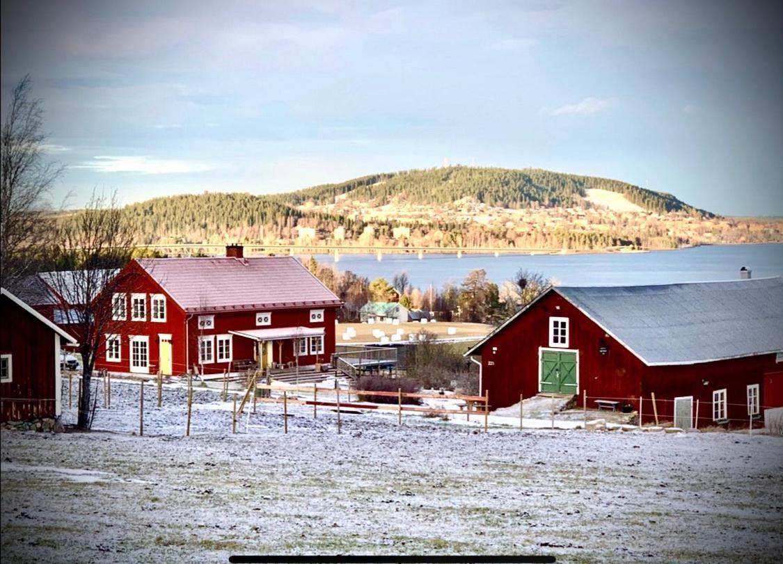 Scenic Small Guesthouse On Horse Farm By The Lake Frösö Exteriör bild