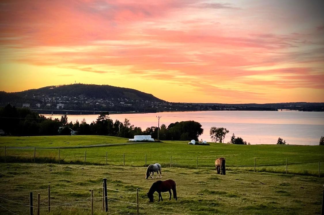 Scenic Small Guesthouse On Horse Farm By The Lake Frösö Exteriör bild