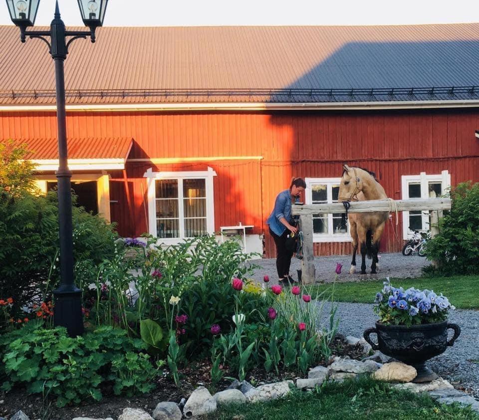 Scenic Small Guesthouse On Horse Farm By The Lake Frösö Exteriör bild