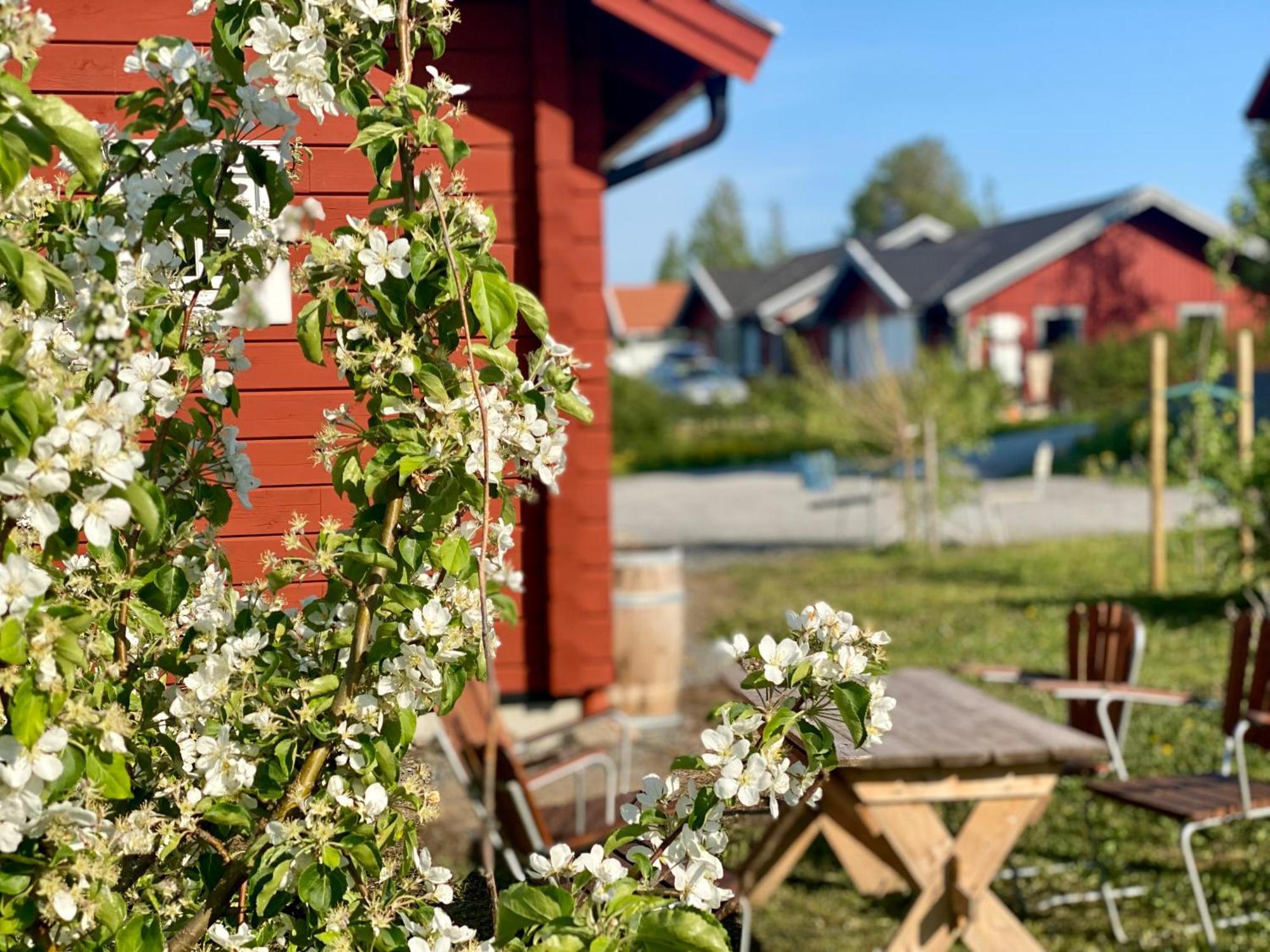 Scenic Small Guesthouse On Horse Farm By The Lake Frösö Exteriör bild